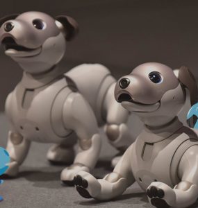 Aibo, Si Robot Anjing yang Lucu dan Pintar 9