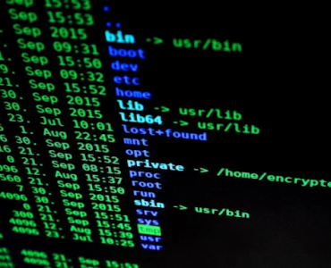 Apa Itu Serangan Malware dan Ciri-Ciri HP Terkena Malware 16